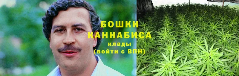 цена наркотик  Звенигород  Канабис Ganja 